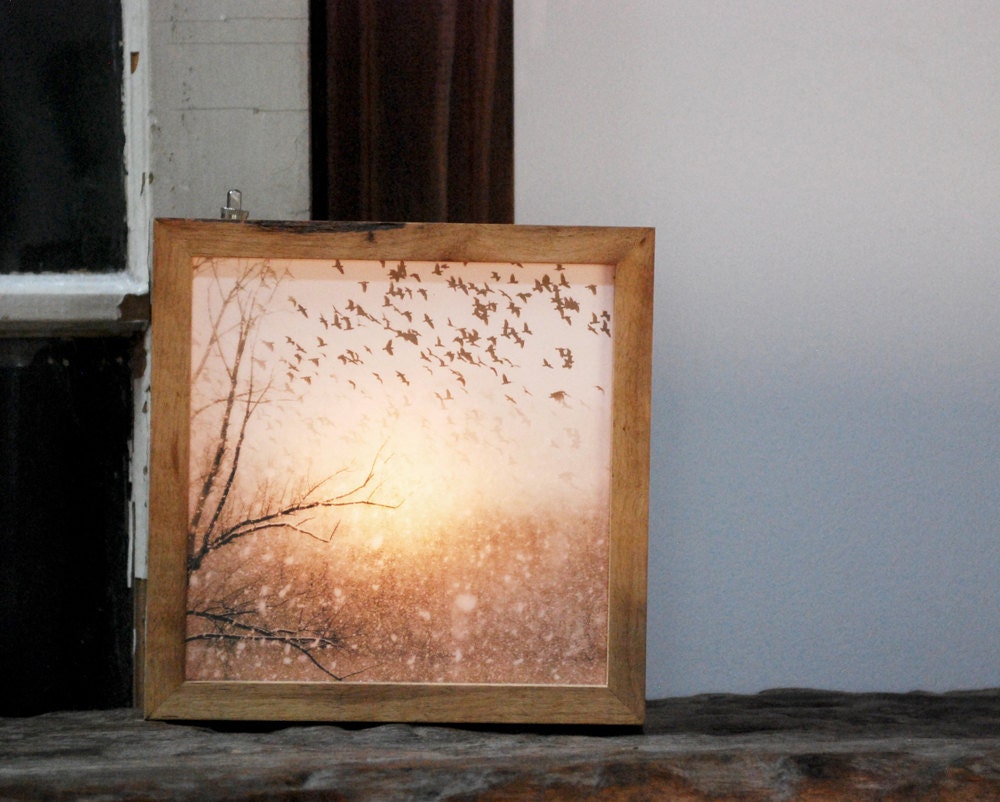 8x8 Birds of snow light box night light MADE TO ORDER