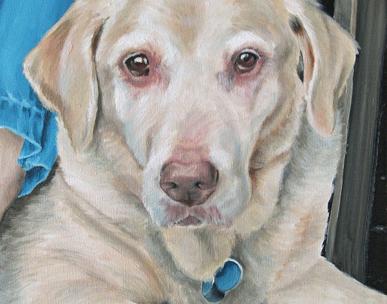 CUSTOM oil Pet Portrait 12" x 12"