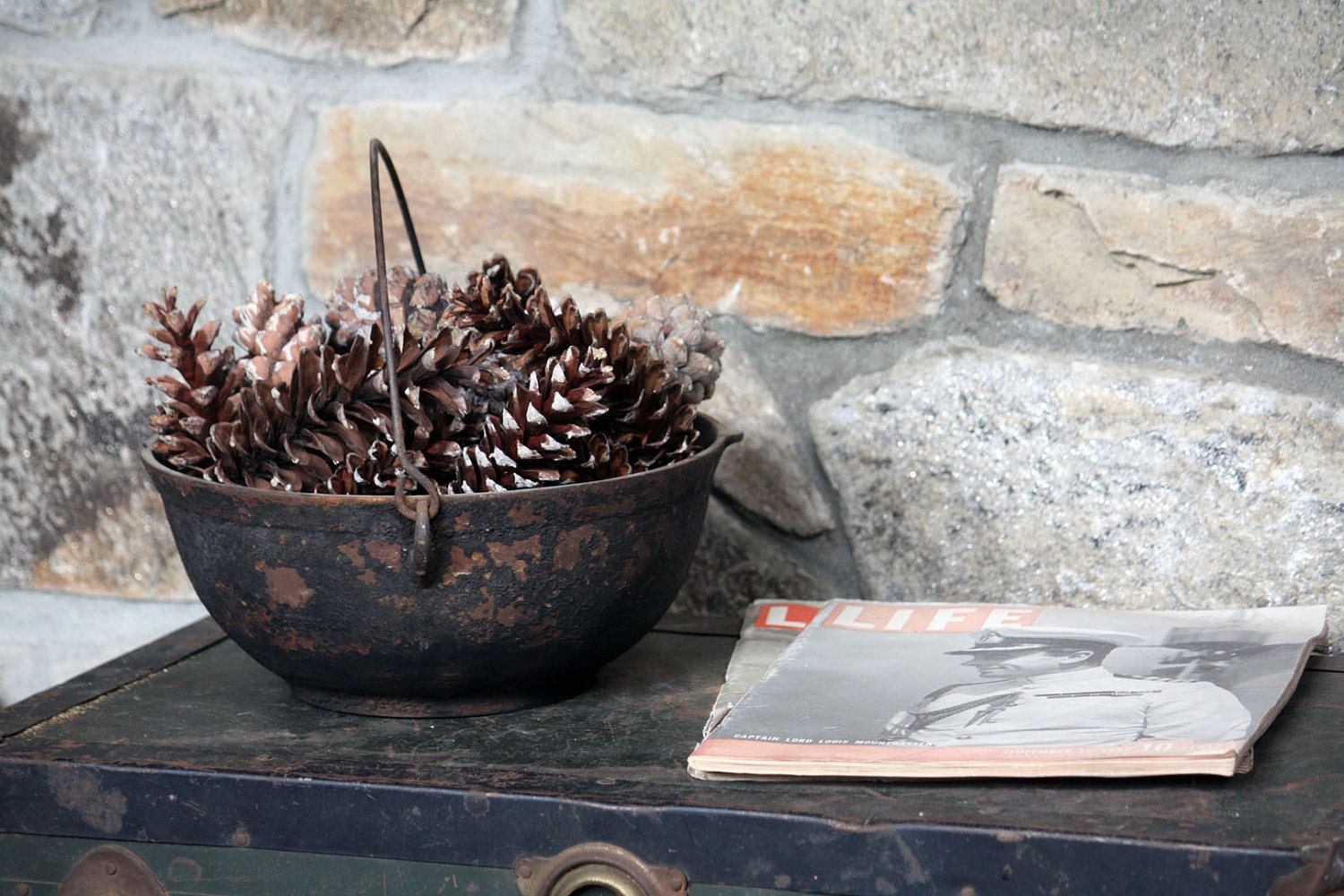 Real Pinecones - 20 Medium Natural Gathered CT Pinecones - Nature, Home Decor, Holiday, Fall Harvest, Autumn, Rustic, Centerpiece elitett
