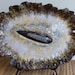 Centerpiece Tray Orthoceras Fossil Ceramic Decorative Fossil Plate Clay Organic Rustic Dish