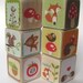 Wood Block Toy or Decor - Woodland Creatures - Set of 6