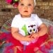 Owl Birthday Outfit - 1st Birthday Owl - Owl Birthday - Owl Petti Tutu Outfit - w/Child's Name