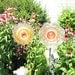 RESERVED for Neely Recycled Repurposed Garden Art Glass Flower Suncatcher SHEBA