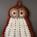 Set of two Whimsical Crocheted Pot Holders Mama and Owl