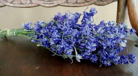 DRIED FLOWERS Lovely Petite Natural Dark Blue Larkspur Flower Bunch  Wedding, Cottage, Shabby, Prim