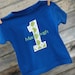 Personalized Birthday T-Shirt or Onesie Bodysuit to Coordinate with Birthday Party Sets - Add On to Birthday Set or Hat Purchase