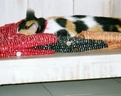 Hard Day - Bali Shop Cat  5 x 7 Travel Photography Print