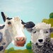 Large Farm Animal Painting, Cow and Sheep, 30x40 Acrylic on Canvas