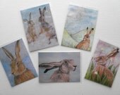 Set of 5 aceo prints - Hares