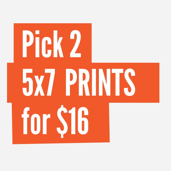 Two 5x7 modern novelty art prints for 16.00