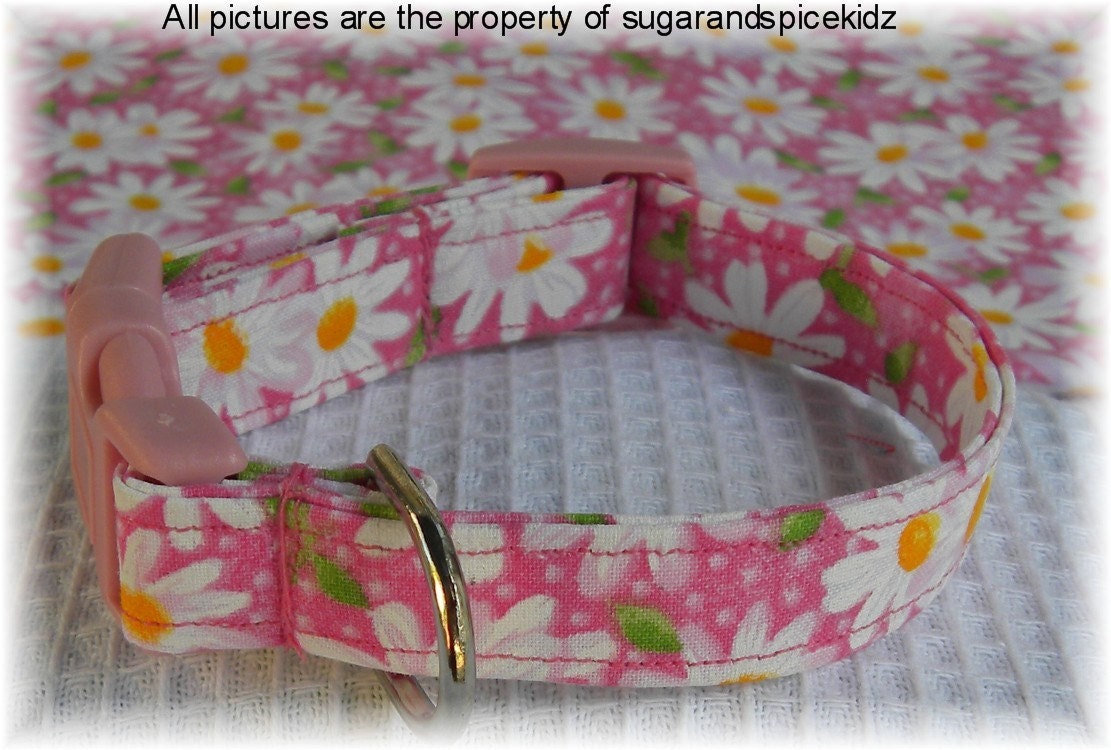 Dog Collar Pink Field of Daisies Flowers Size MEDIUM Adjustable Dog Collar with D Ring