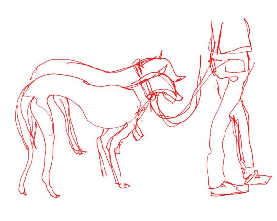 Red Ink Afghan Hound Drawing - print 8x11.5 inch (21x29.5 cm)