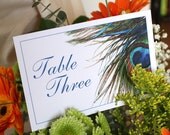 Peacock Feather Table Number, Reserved