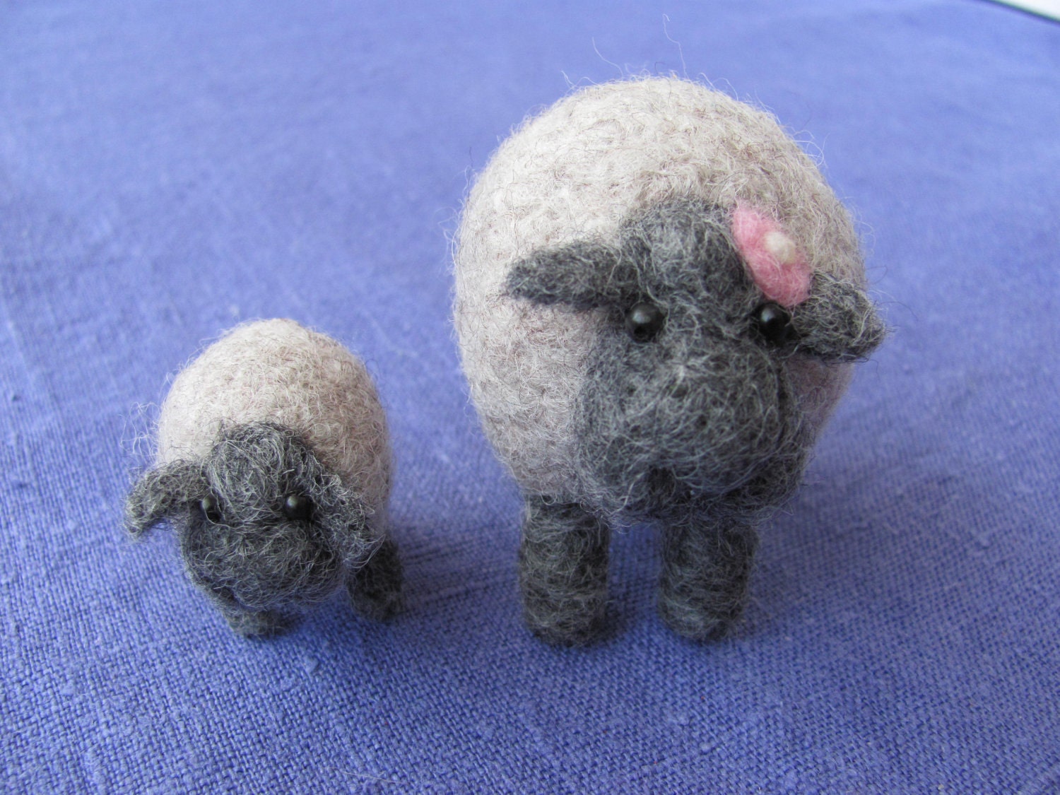 Mama and baby sheep