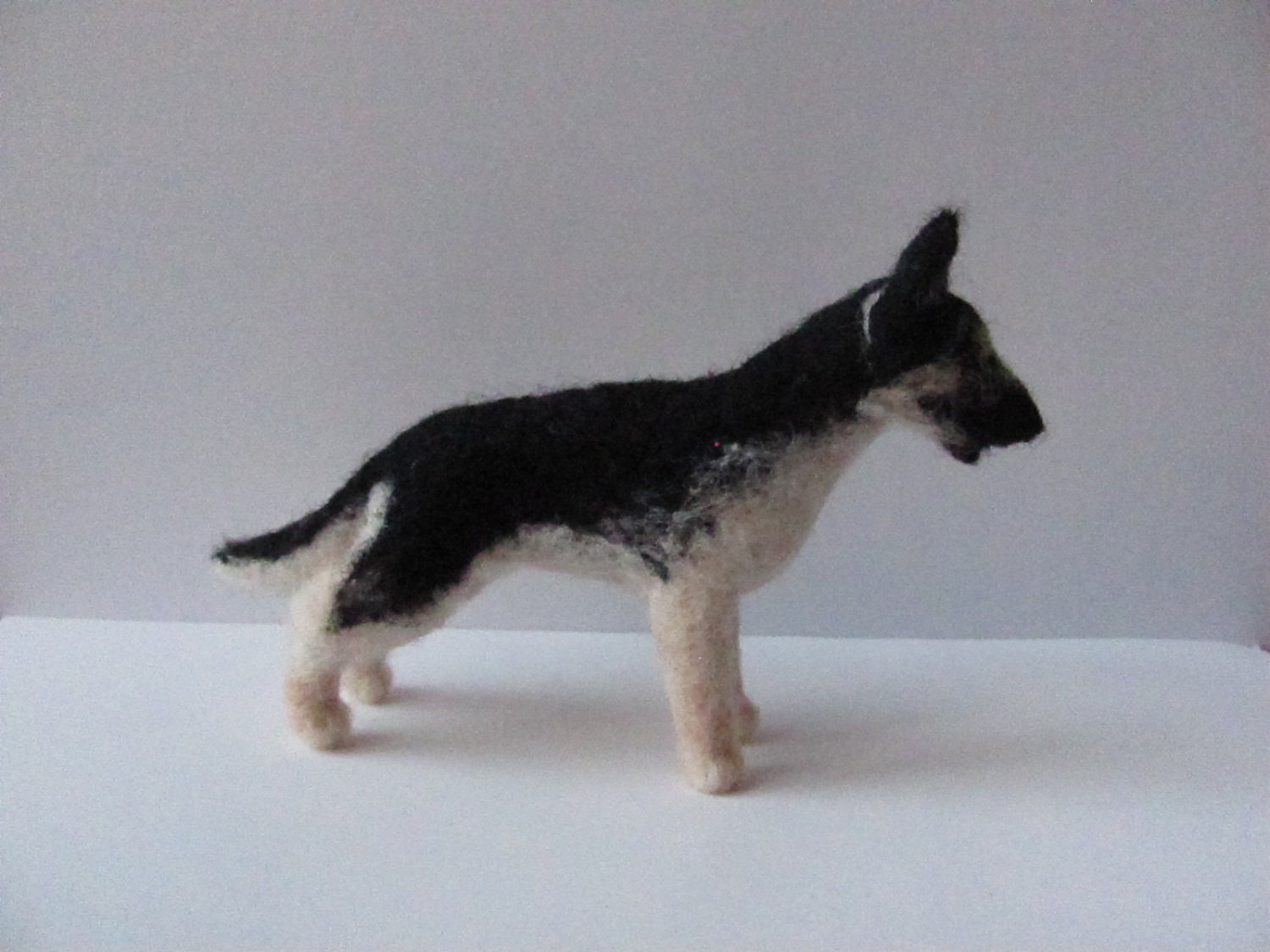 East European Shepherd dog