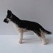 East European Shepherd dog