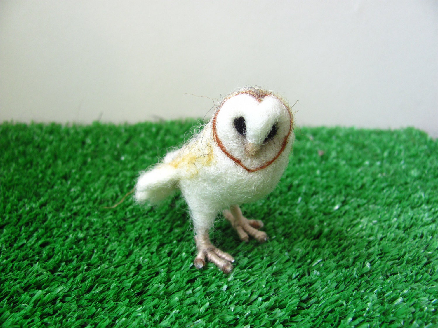 Barn owl
