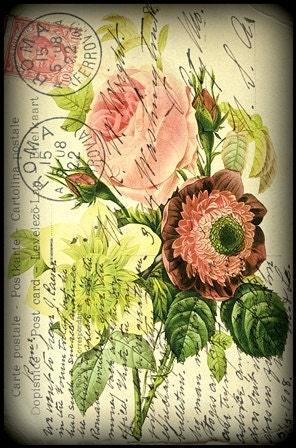 Digital Mixed Media Art: Vintage Flower 103, 8x10 print - Folk Art, Vintage art, postcard art, botanical art, flower art, pink, red