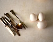 THE BREAKFAST TABLE - Eggs on a table, 8 x 10 Inches