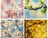 Early spring, A set of four 5x5 prints, Fine Art Photographs