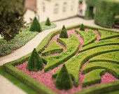 Garden in Old Town, Prague  -  Fine Art Photograph