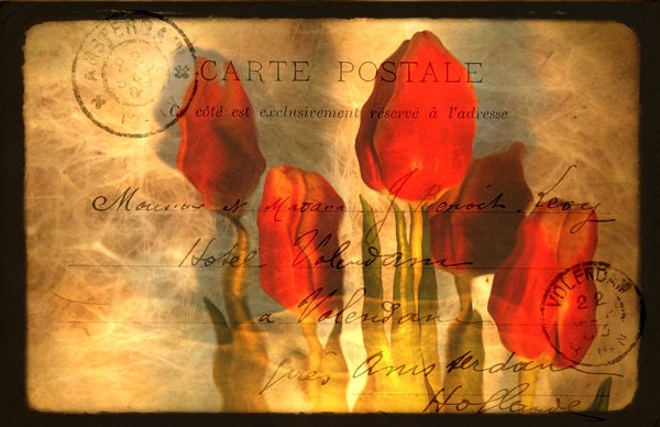 Tulips and Travel Dreams: 8.5 x 11 Color Photograph, red tulips - gold - postcard - vintage - spring - flowers - fine art photography