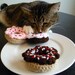 Valentine's Day Mini Donuts - set of three crocheted cat toys