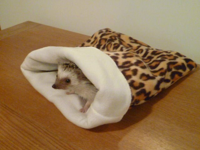 Hedgehog Snuggle Sack