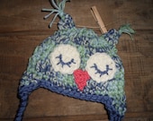 Baby Owl Crochet Hat, Blues/Greens Varigated, Sleeping Owl, Earflaps, Baby, Toddler Hat