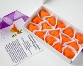 Sugar Cubes - Blood Orange margaritas - DIY drink cocktail kit - Father's Day gift