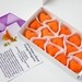 Sugar Cubes - Blood Orange margaritas - DIY drink cocktail kit - Father's Day gift
