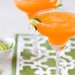 Sugar Cubes - Blood Orange margaritas - DIY drink cocktail kit - Father's Day gift