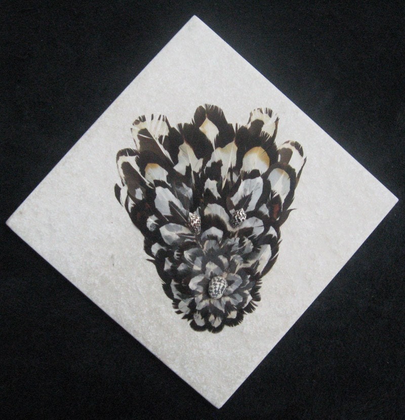 Spirit in Black and White Feathers on Tile
