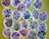 Lily of the Valley Edible Images for your Iced Cookies, Cupcakes, Fondant, Cakes or Chocolates