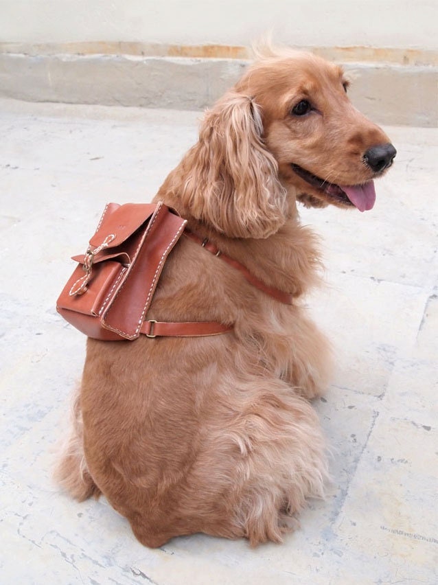 Personalized Dog Backpack - Leather - Hand Stitched