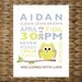 Custom Personalized Birth Announcement Print 8x10 Wall Art - Green Owl - original design by a drop of golden sun