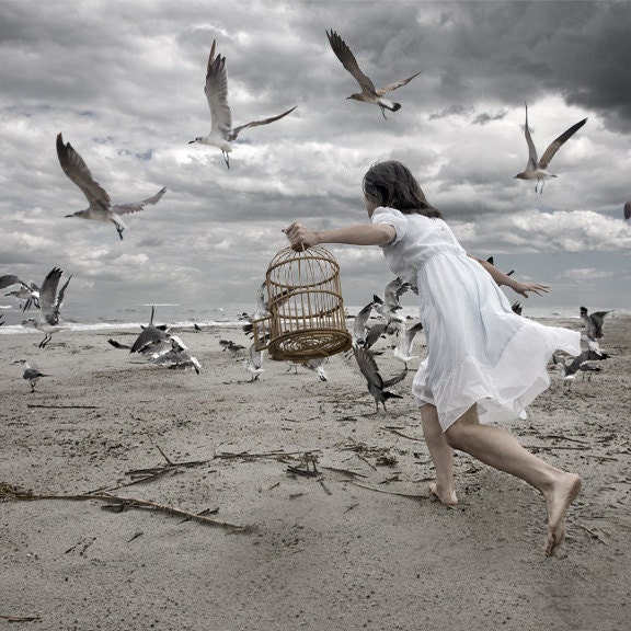 16x20 Inch Taming the Sea Bird Part II Fine Art Print Made To Order