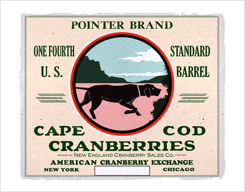 Pointer Brand Cape Cod Cranberries - Fruit Crate Label Print -11x14 -