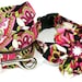 Dog Collar & Flower Set - Plum Dahlia