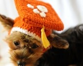 Burnt Orange UT Graduation Cap for Dogs