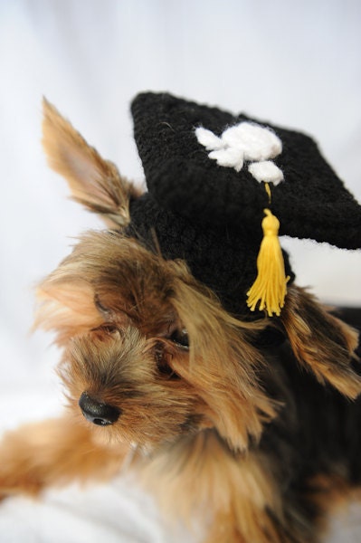 Black Graduation Cap for Dogs 2013
