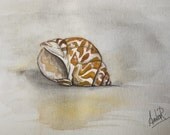 Simple Shell - 5 x 7