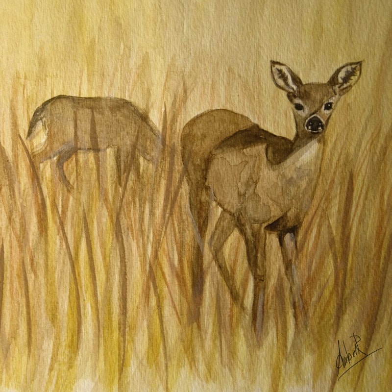The Yearling - 8 x 8