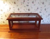 Hand Made Minature Show Case Perfect For Small Treasures