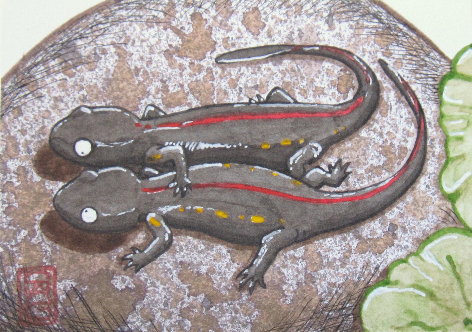 ACEO Friends - Chinese Warty Newts - Salamander Art Watercolor and Ink Archival Print