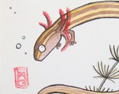 ACEO Dwarf Siren - Nearly Legless Salamander - Archival Print