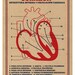 Large illustration print 11.70 x 16.50 (A3). Heart. (Special spring offer: Get a geometric poster for free)