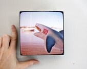 on.the.potomac ( 5 x 5 Reclaimed Wood Photo Block) SHARK WEEK, Home Decort