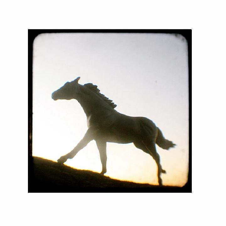 baby i was born to run (5 x 5 Fine Art Print)