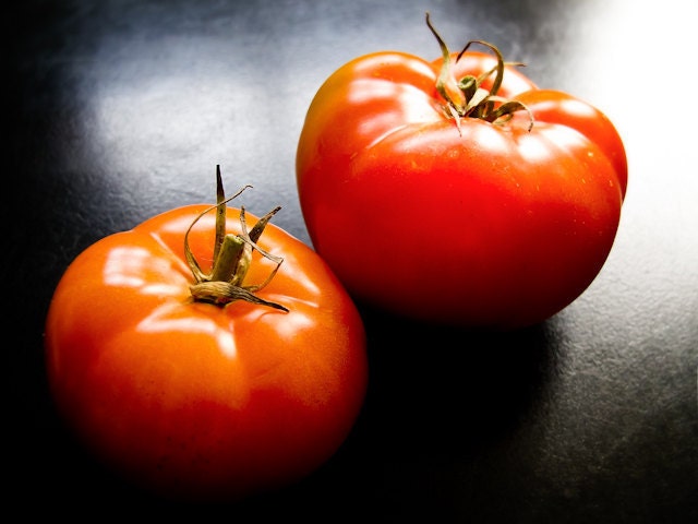 Organic Heirloom Silvery Fir Tree Tomato Seeds